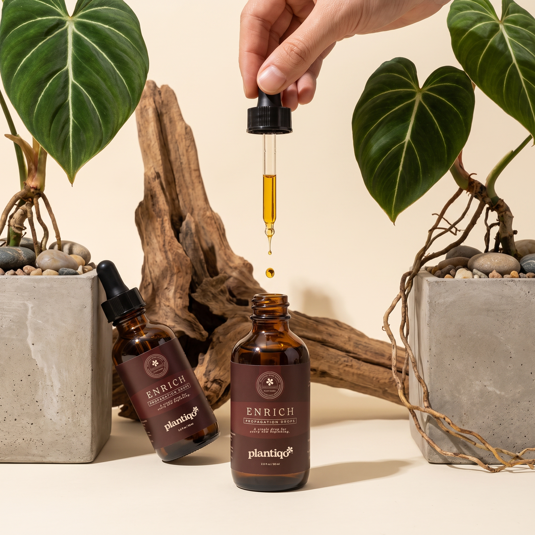 Enrich Propagation Drops — Natural Root Stimulant & Cutting Treatment