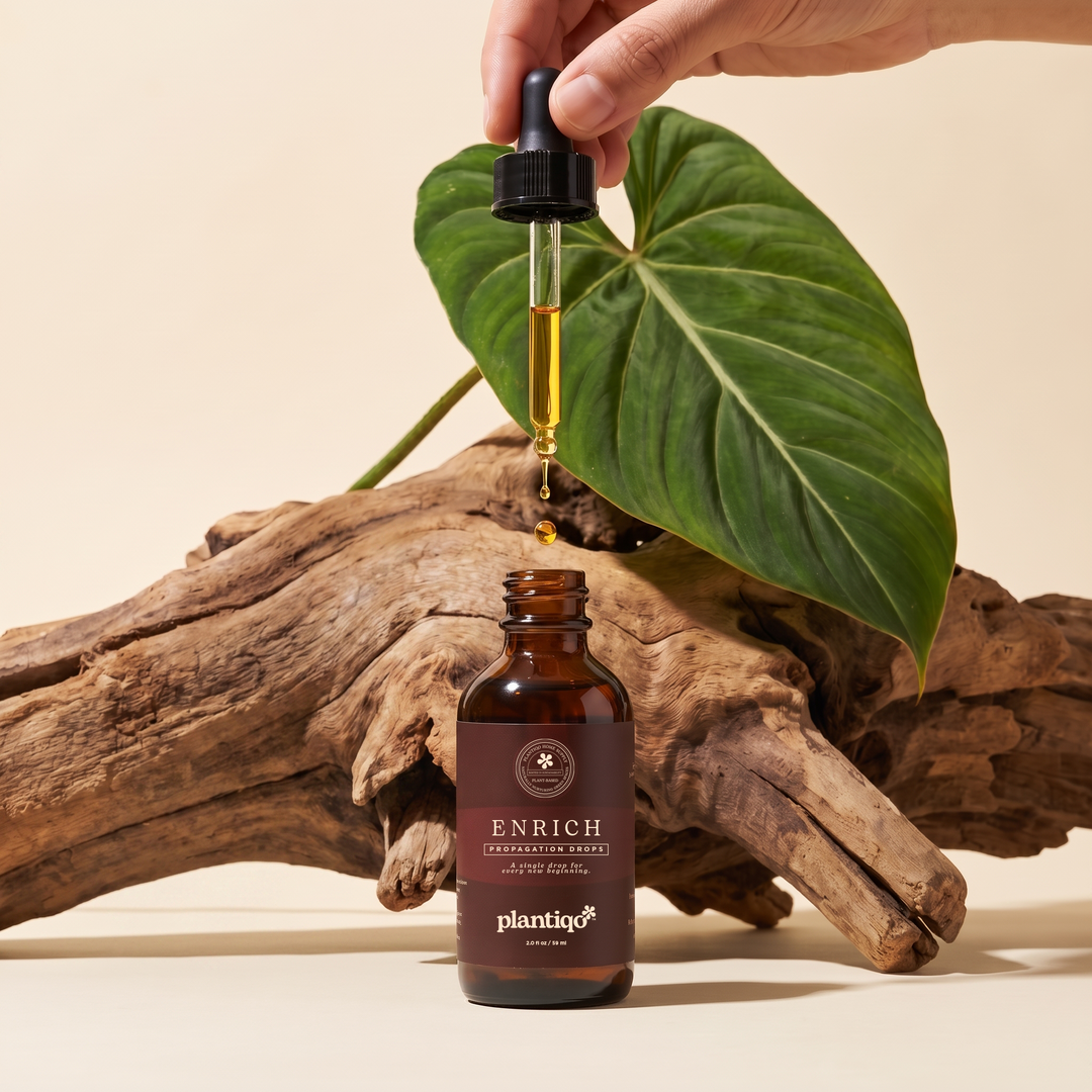 Enrich Propagation Drops — Natural Root Stimulant & Cutting Treatment