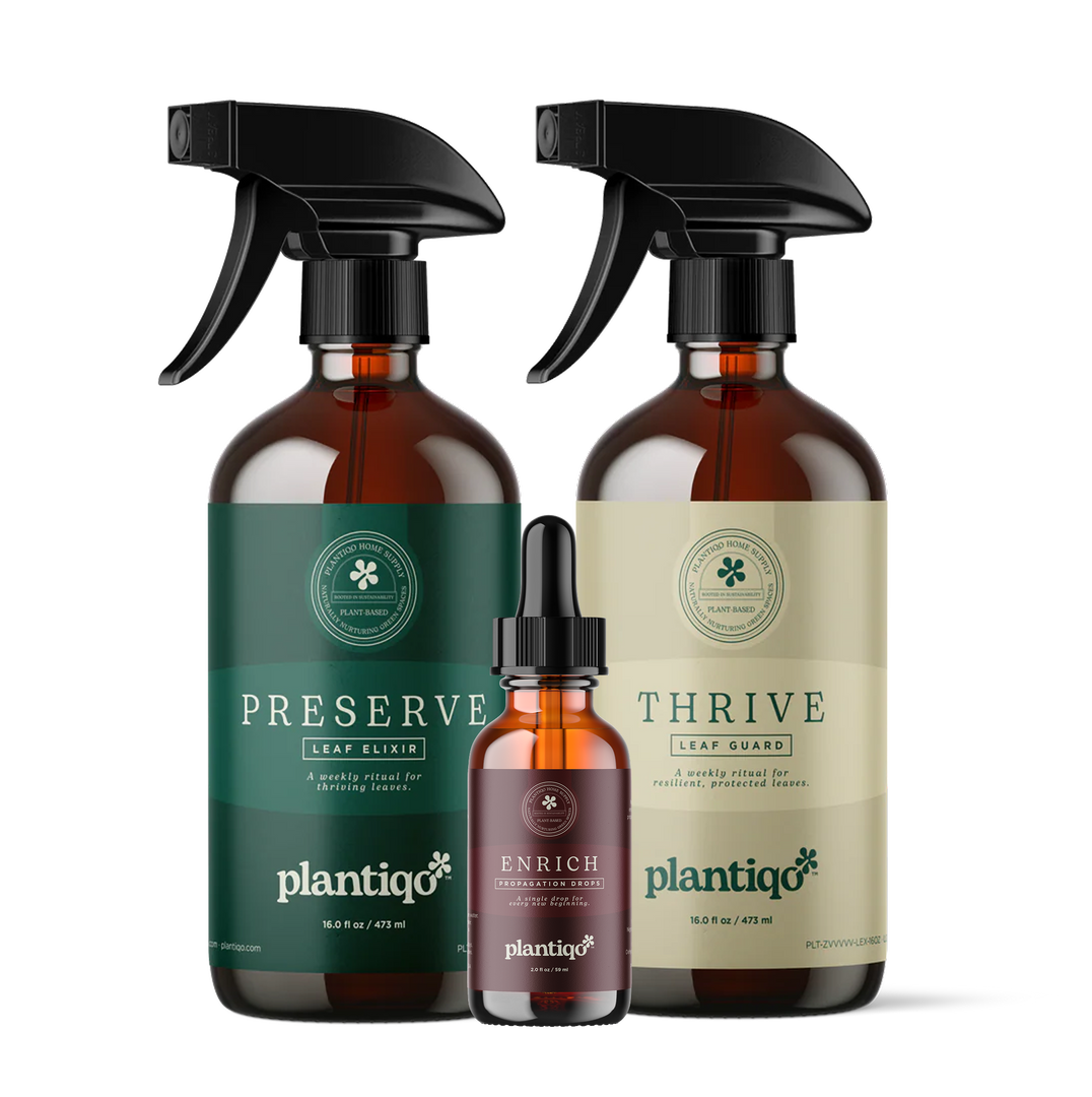 The Ritual Set — Preserve + Thrive + Enrich Houseplant Bundle