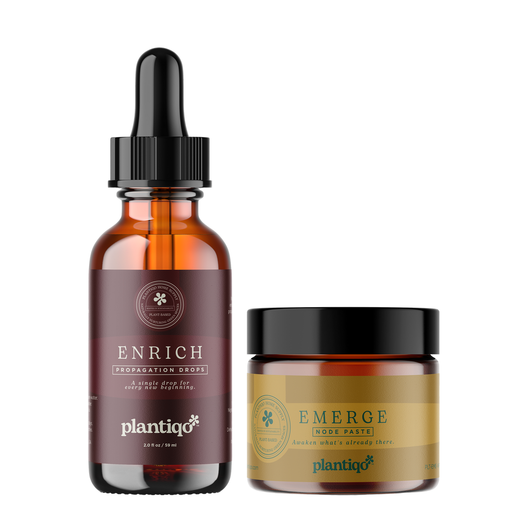 Propagation Series — Emerge Node Paste + Enrich Propagation Drops Bundle
